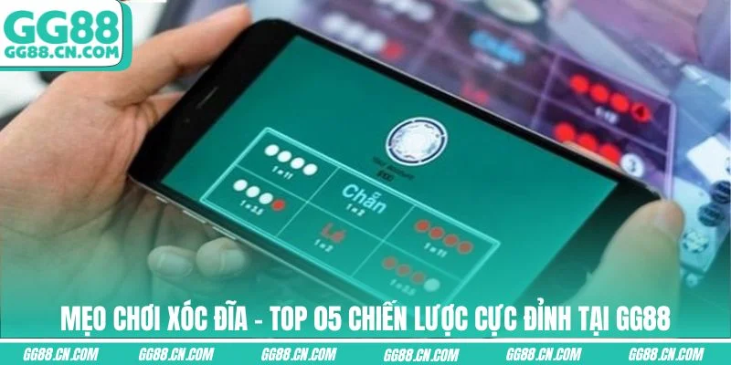 Ảnh đại diện mẹo chơi xóc đĩa